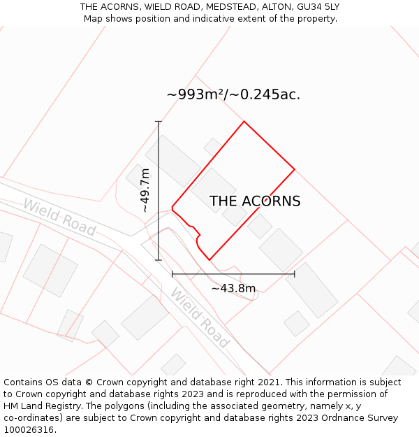 THE ACORNS, WIELD ROAD, MEDSTEAD, ALTON, GU34 5LY: Plot and title map