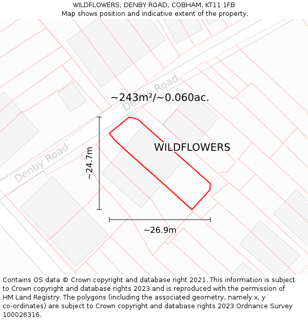 WILDFLOWERS, DENBY ROAD, COBHAM, KT11 1FB: Plot and title map